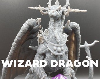 Wizard Dragon and Trapper Rider - Dragon Trapper's Lodge - D&D Dungeons and Dragons / Pathfinder Tabletop Miniature Monster + Character
