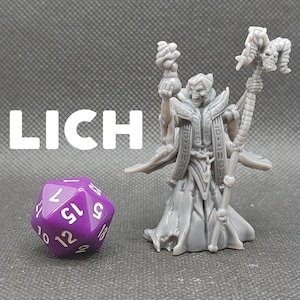 Lich / Undead Overlord- Brayan Nafarrate - D&D Dungeons and Dragons / Pathfinder Tabletop Miniature Monster
