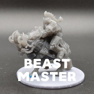Beast Master - Dwarf Rider - CastnPlay - D&D Dungeons and Dragons / Pathfinder Tabletop Miniature