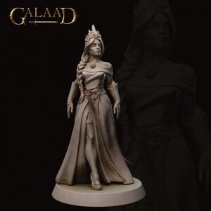 11 Miniature Rogues Di Galaad Per Dungeons & Dragons, Pathfinder E D&D5e - Nuove