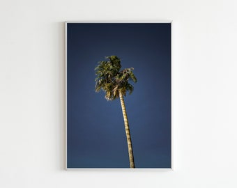 California Palm Tree Print, Los Angeles Photography, California Wall Art, Coastal Decor, Housewarming Gift, Earthy Art, Dark Skies