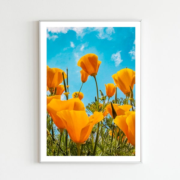 Orange Poppy Print, Flower Photography, State Flower, California Photography, Poppies, Orange Flowers, Orange Wall Décor, Blue Sky