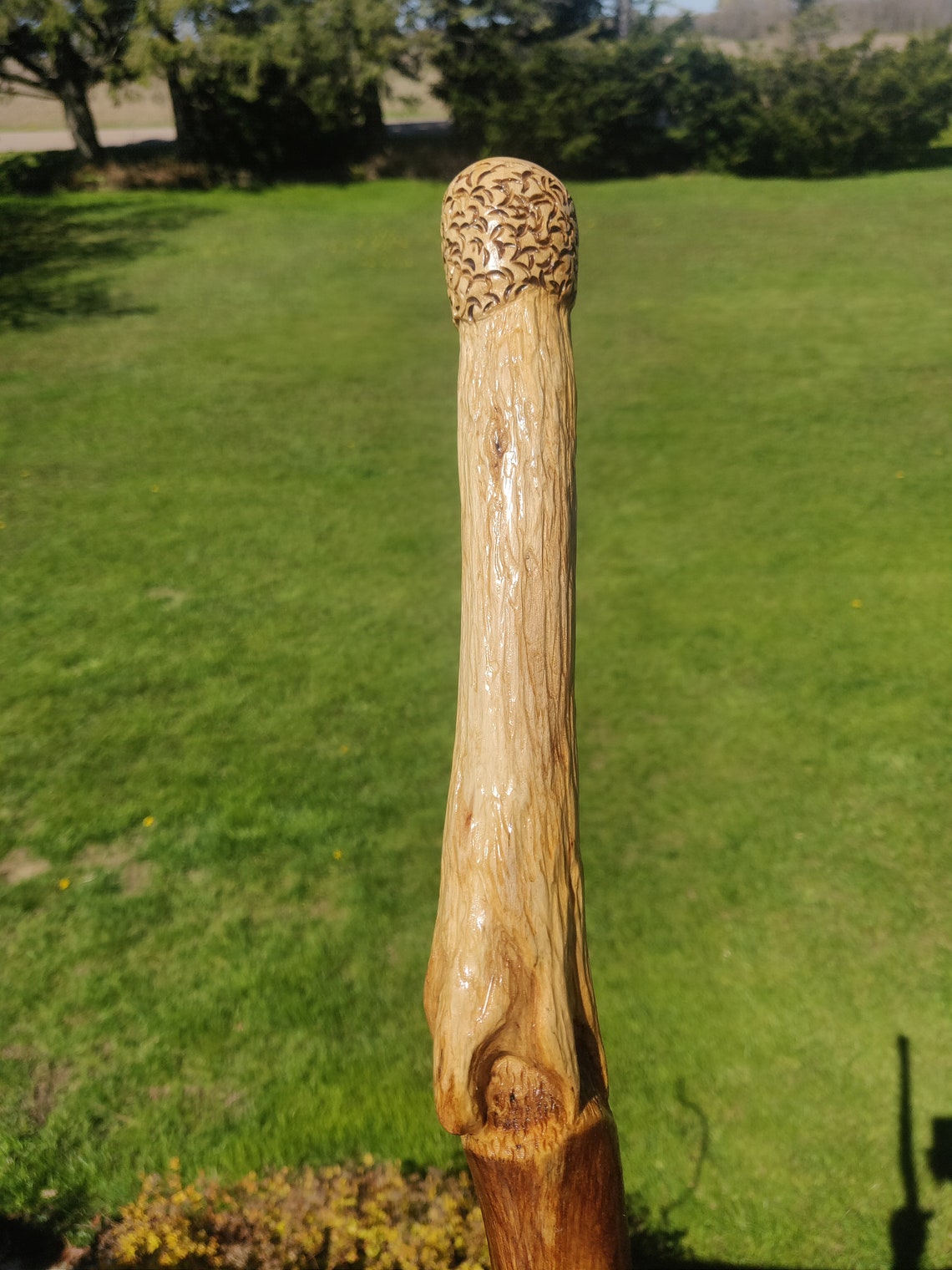 Pillow Root Hand Carved Walking Stick Hiking Stick Unique Etsy