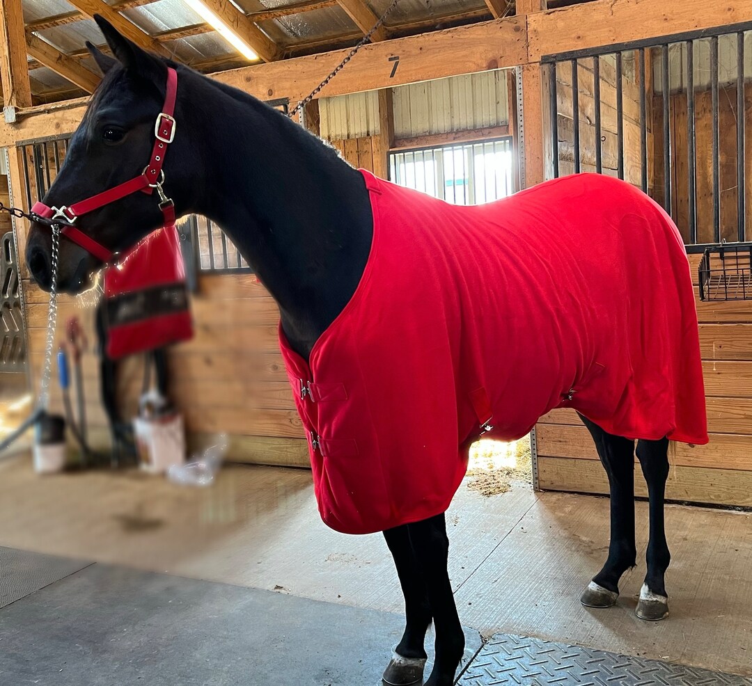 Comfy Fleece Horse Cooler Etsy