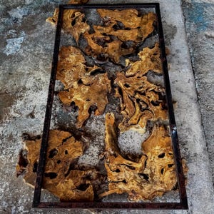 Kiln Dried Olive Root Burl Wood Slab: Epoxy Resin Table Project image 9