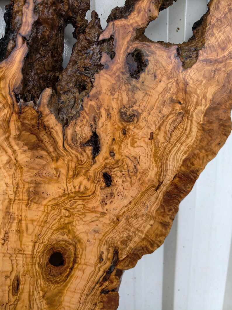 May include: A polished olive wood slab featuring a complex, swirling grain pattern in shades of golden yellow and light brown. The piece displays natural dark brown knots, organic voids, and a rough, textured bark edge along the upper section.