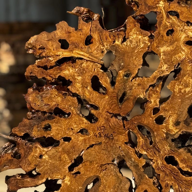 May include: Close-up of a section of a large, irregularly shaped piece of wood. The wood is a warm brown color with darker brown and black accents. The surface has numerous holes and a textured appearance. The text "107 48 44" is visible.