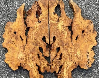 Large Bookmatched Olive Wood Slab Set, Organic Wall Art Wood, Sculptural Olive Root, Live Edge Slabs