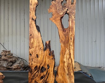 May include: Two large, raw-edge wooden slabs with a natural, organic aesthetic. The wood features rich brown and golden hues, with intricate grain patterns and unique voids. The slabs are likely intended for furniture or decorative use.