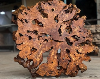 Olive Root Slice Live Edge 42”x37”