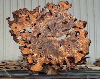 May include: A large, irregular slab of natural wood burl featuring a complex, swirling grain pattern in shades of golden brown and dark espresso. The piece has a rough, organic perimeter with several natural voids and holes throughout the surface.
