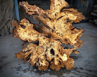 48"x44" // 120 x 110 cm  Olive Root Slice Live Edge (code 87)
