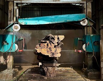 44"x34"  // 1105 x 86 cm  Olive Root Slice Live Edge (code 62)