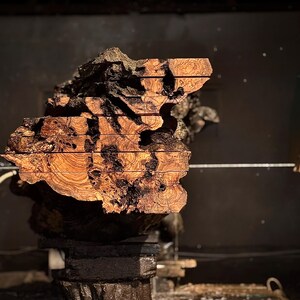 May include: A cross-section of a large, intricately patterned piece of wood, showcasing rich brown and black hues. The wood appears to have been cut into horizontal layers, revealing the natural grain and texture. The piece is mounted on a dark, textured base.