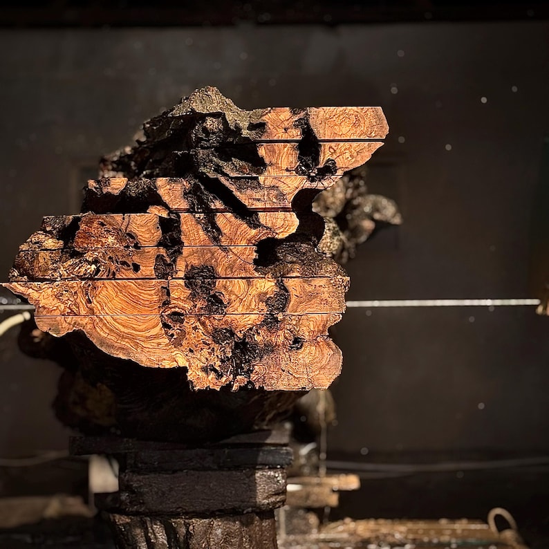 May include: A cross-section of a large, intricately patterned piece of wood, showcasing rich brown and black hues. The wood appears to have been cut into horizontal layers, revealing the natural grain and texture. The piece is mounted on a dark, textured base.