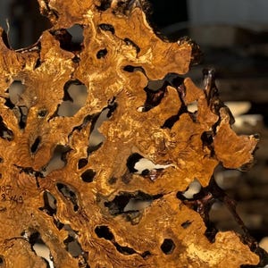 May include: Close-up of a unique, organic-shaped wooden sculpture. The wood features a warm, golden-brown hue with dark brown accents and numerous irregular openings. The texture is intricate, showcasing the natural grain and patterns of the wood. The text "107 8x49" is visible.