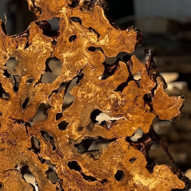May include: Close-up of a unique, organic-shaped wooden sculpture. The wood features a warm, golden-brown hue with dark brown accents and numerous irregular openings. The texture is intricate, showcasing the natural grain and patterns of the wood. The text "107 8x49" is visible.