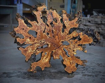 43"x40"  // 110 x 100 cm  Olive Root Slice Live Edge (code 103)