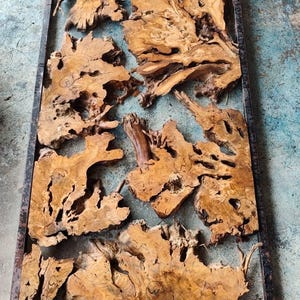 Kiln Dried Olive Root Burl Wood Slab: Epoxy Resin Table Project image 12
