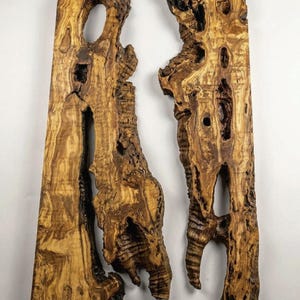 May include: Two irregularly shaped wooden planks with a natural, textured appearance. The planks are primarily brown with darker streaks and knots, featuring several holes and organic edges. The wood grain is visible, creating a rustic aesthetic.