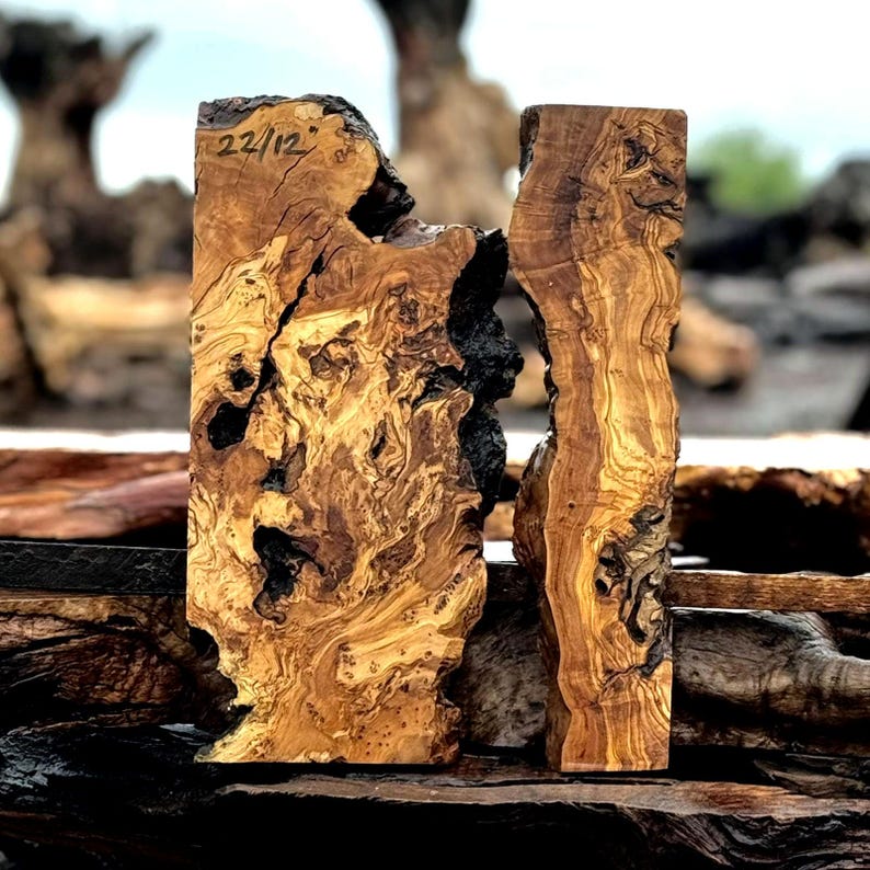 Live Edge Olive Wood Slab Set for Epoxy River Table Kiln Dried Blank image 13