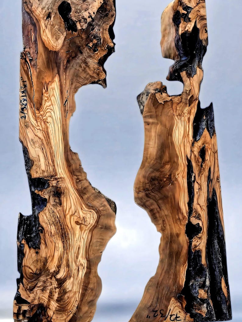 May include: Two abstract wooden sculptures with a natural wood grain pattern. The sculptures have a light brown color with dark black accents. The wood has a unique shape with cut-out sections and a smooth finish. The sculptures are displayed against a light blue background.