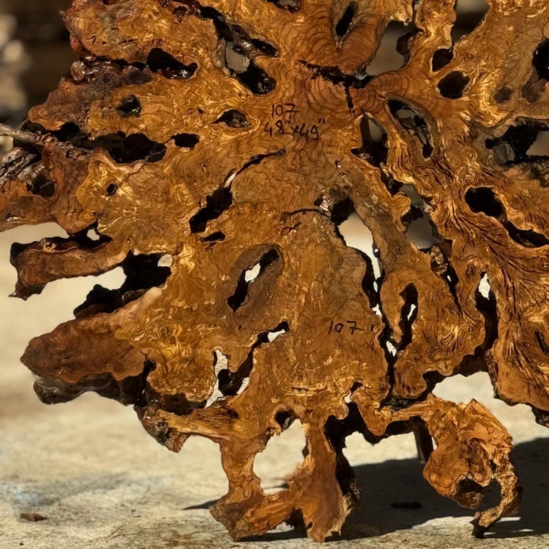 May include: Close-up of a section of a large, irregularly shaped piece of wood. The wood is a warm brown color with darker brown accents and numerous holes and crevices. The text "107 48x49" is written on the wood.