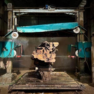 May include: A large industrial wire saw machine with a teal metal frame cutting through a thick, irregular piece of raw wood. The machine features pulleys and a horizontal wire blade slicing the dark, textured timber block on a metal platform.