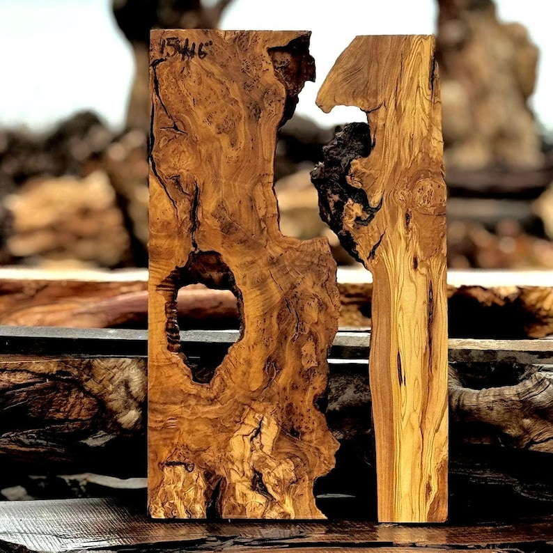 Live Edge Olive Wood Slab Set for Epoxy River Table Kiln Dried Blank image 7
