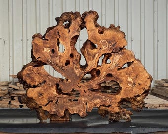 May include: A large, irregular slab of natural wood with a rich, golden-brown grain and multiple organic voids throughout the center. The surface features handwritten text that reads 14 / 33 x 28 1/2 inches, indicating its physical dimensions.