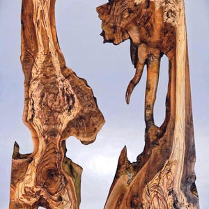 Turkish Olive Wood Slab Set | Medium | Ready for Resin Epoxy | Live Edge Burl | Kiln Dried |