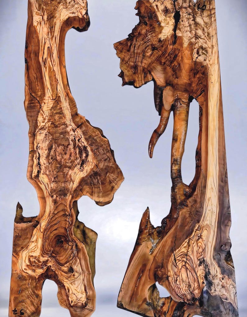 May include: Two abstract wooden sculptures with natural wood grain patterns. The sculptures are brown with lighter and darker streaks, and have organic, irregular shapes. One has a curved top, the other has a protruding element.