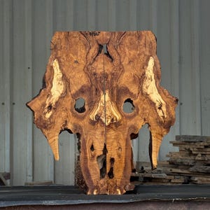24" Large Bookmatched Olive Wood Slab Set, Organic Wall Art Wood, Sculptural Olive Root, Live Edge Slabs