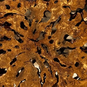 May include: Close-up of a section of a large, irregularly shaped wooden slab. The wood has a rich, golden-brown color with dark, intricate patterns and numerous holes. The text "107" and "48 x 49" are visible.