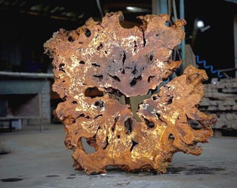 Root Slice