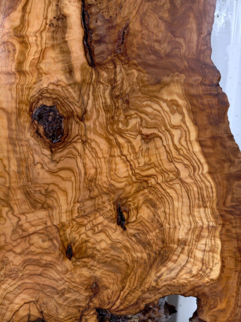 May include: A slab of olive wood featuring a complex, swirling grain pattern in shades of light tan, golden yellow, and deep brown. The surface displays several dark, prominent knots and organic, irregular edges that highlight the natural texture.