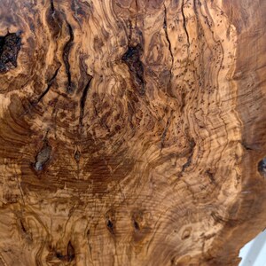May include: A polished slab of olive wood featuring a complex, swirling grain pattern in shades of golden brown and dark chocolate. The surface displays natural knots, organic fissures, and intricate burl wood textures throughout the piece.