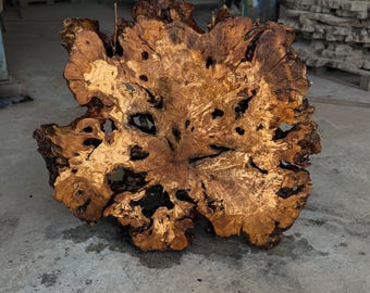 46"x47" // 117 x 107 cm  Olive Root Slice Live Edge (code 86)