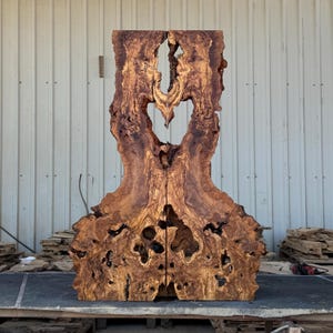 May include: A tall, vertical sculpture crafted from two symmetrical pieces of natural wood with a rich, swirling grain pattern in shades of brown and amber. The piece features a large, central open void and intricate, organic hollows.