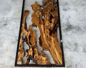 70"x35"  // 180x 90 cm  Olive Root Slice Live Edge (Code 80)