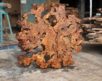 Ancient 300-1000 Year Old Olive Tree Underground Root Burls Slices– Unique, Eco-Friendly Wood Art for Epoxy Tables & DIY wood worker