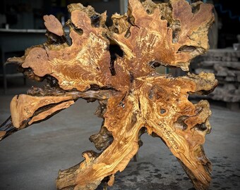 48"x44" // 120 x 110 cm  Olive Root Slice Live Edge (code 106)