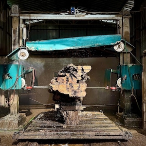 May include: A large, irregularly shaped piece of wood, possibly a burl, is being cut by a large industrial saw. The wood is a mix of brown and tan colors. The saw has teal and white components.
