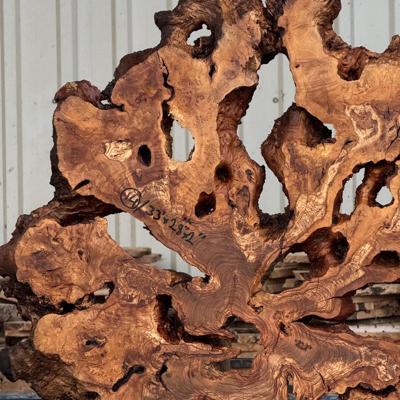 May include: A large, irregular slab of natural wood featuring a complex, swirling grain pattern in shades of golden brown and dark amber. The piece contains multiple organic voids and holes, with the handwritten text 14/33x28 inches visible.