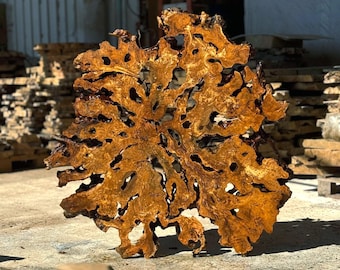 Large Olive Root Burl Slice – Kiln Dried Live Edge Slab Epoxy Tables, Wall Art
