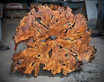 45"x40"  // 115 x 100 cm  Olive Root Slice Live Edge (code 95)