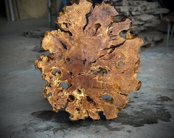 Olive Root Live Edge Wood Slab Large Slice 40”x35”