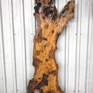 May include: A large, vertical slab of natural olive wood featuring a highly textured surface with intricate swirling grain patterns, deep knots, and irregular organic edges. The wood displays a rich palette of golden-brown and dark brown tones.