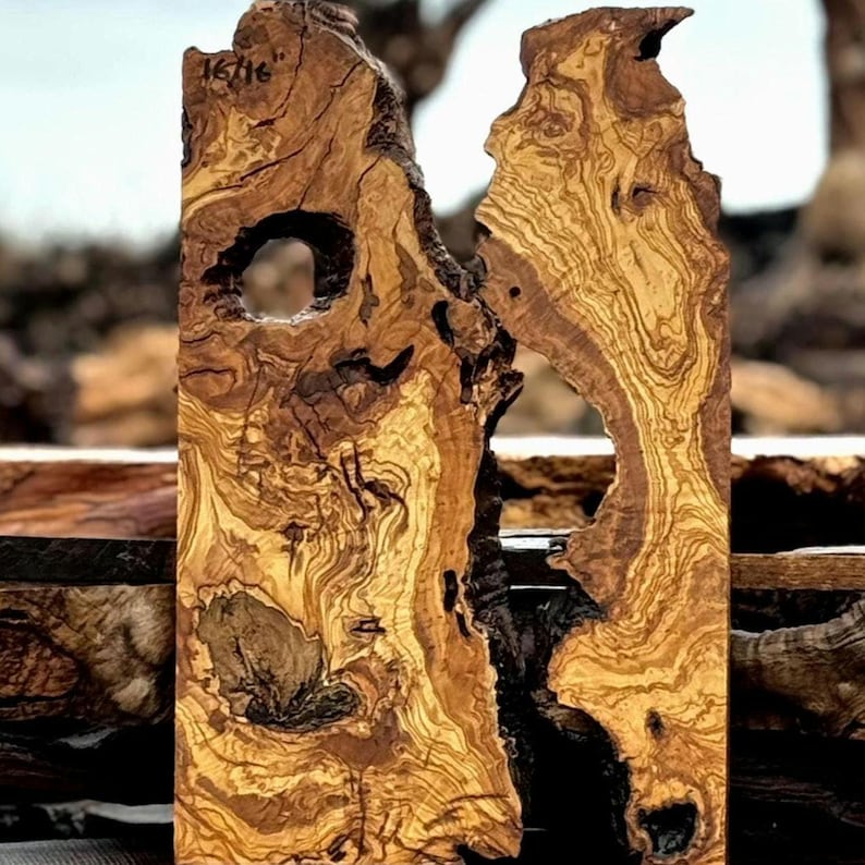 Live Edge Olive Wood Slab Set for Epoxy River Table Kiln Dried Blank image 8