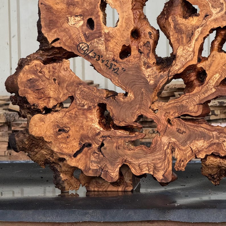 33"x28" // Large Olive Root Burl Slice – Kiln Dried Live Edge Slab for Epoxy Tables and Wall Art Code : 14 image 3